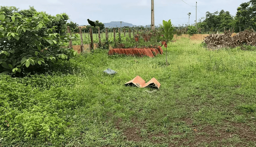Corpo de recém-nascido é encontrado na zona rural de Campo Maior