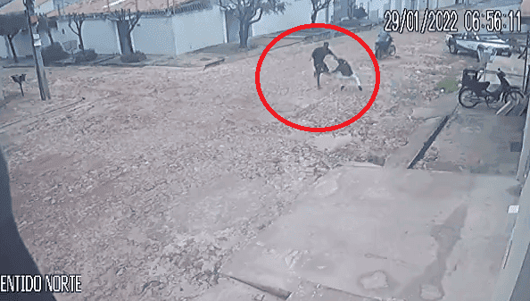 Câmeras de segurança flagram o momento em que o padeiro reagiu ao assalto