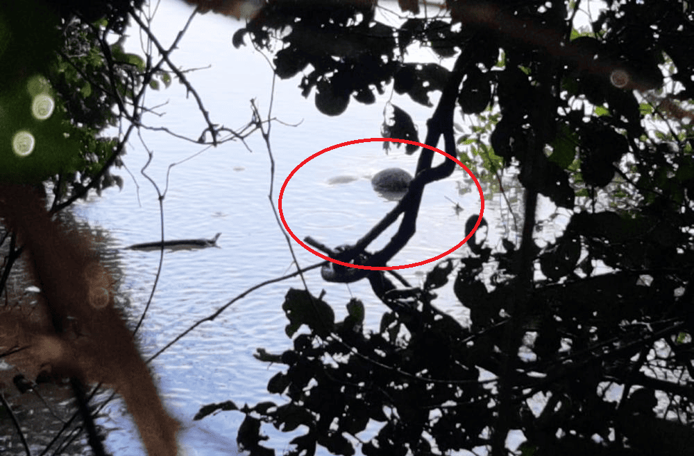 Corpo encontrado por pescador no Rio Longá