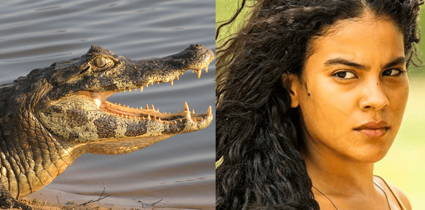 Atriz de Pantanal é mordida por jacaré durante gravações