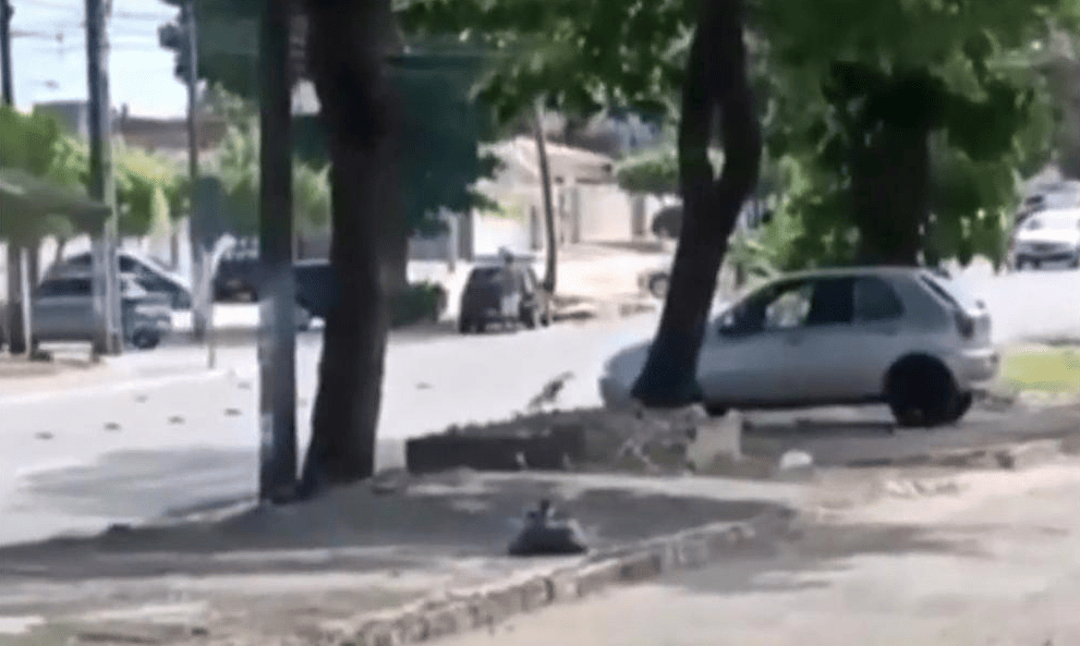 Policias trocam tiros durante discussão política