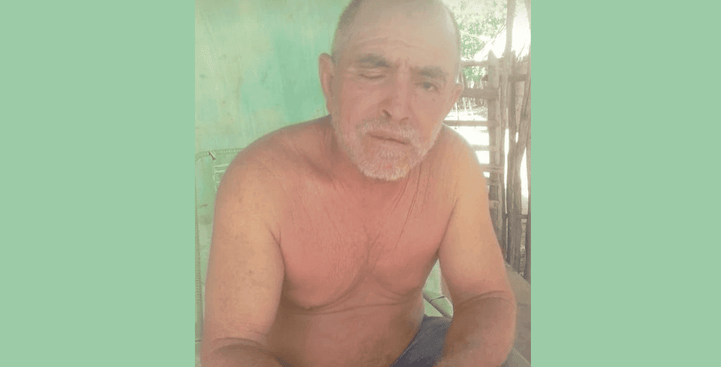 Idoso morre ao ser atingido por árvore cortada