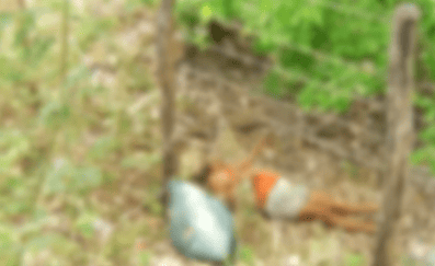 Mulher morre eletrocutada em Timon
