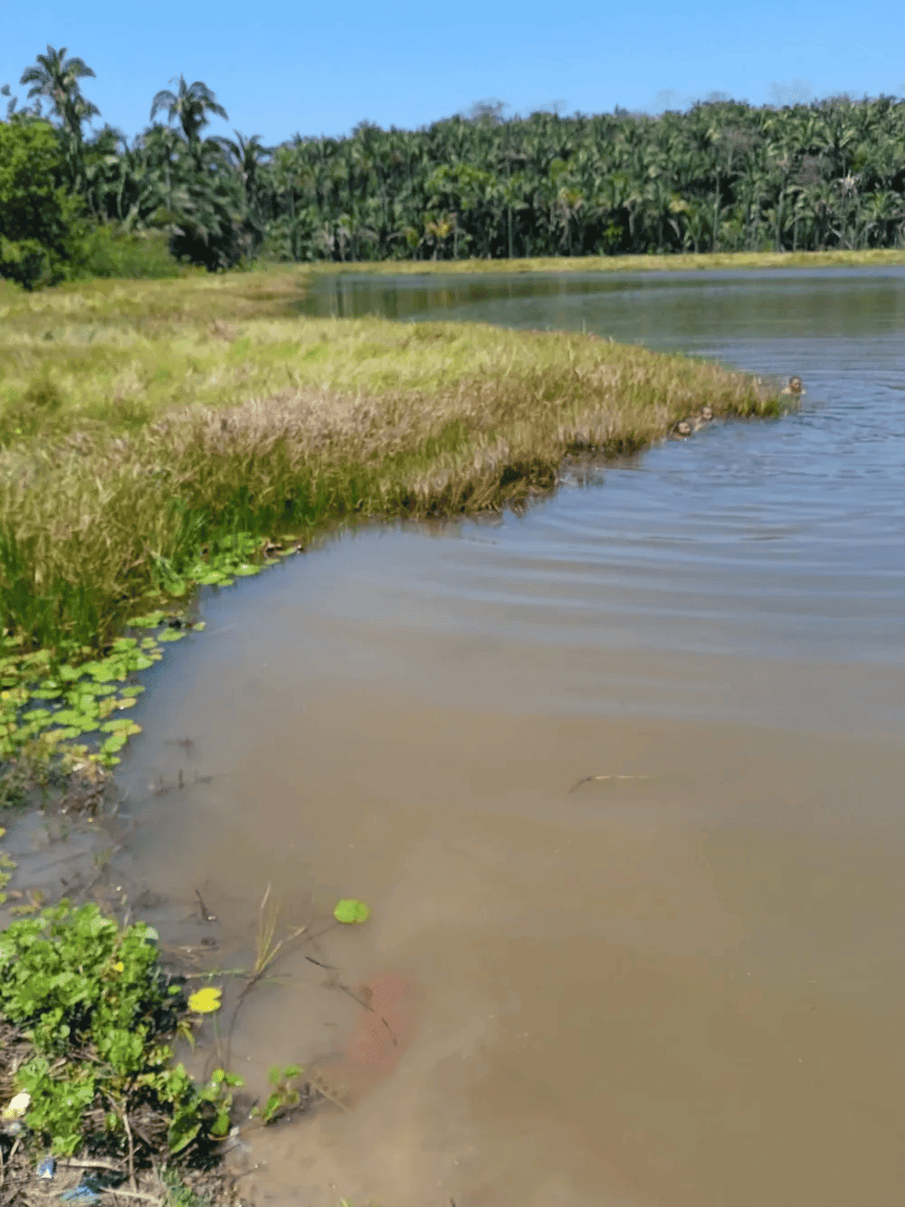 Lagoa onde o adolescente se afogou