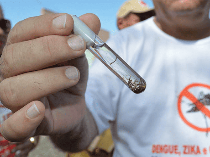 Monitoramento de casos de dengue, zika e chikungunya
