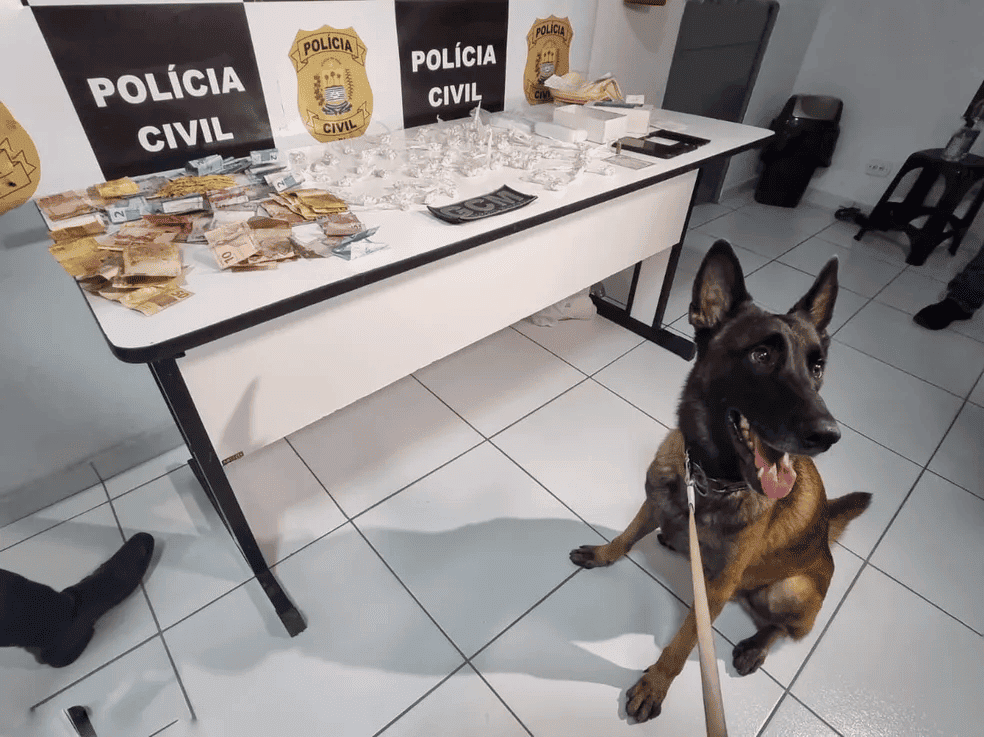 Droga apreendida no local