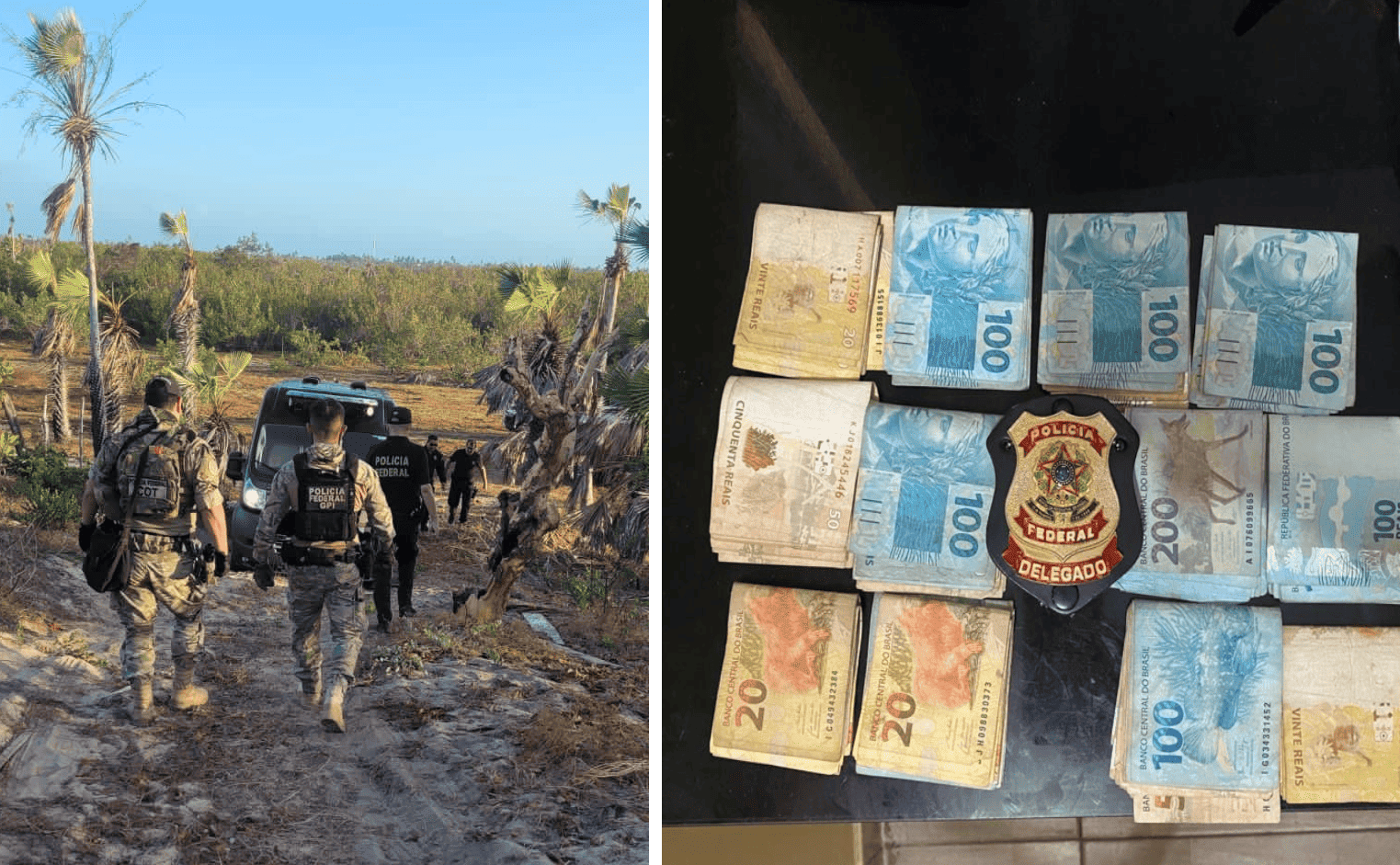 Equipes da PF apuram crimes ambientais em Cajueiro da Praia