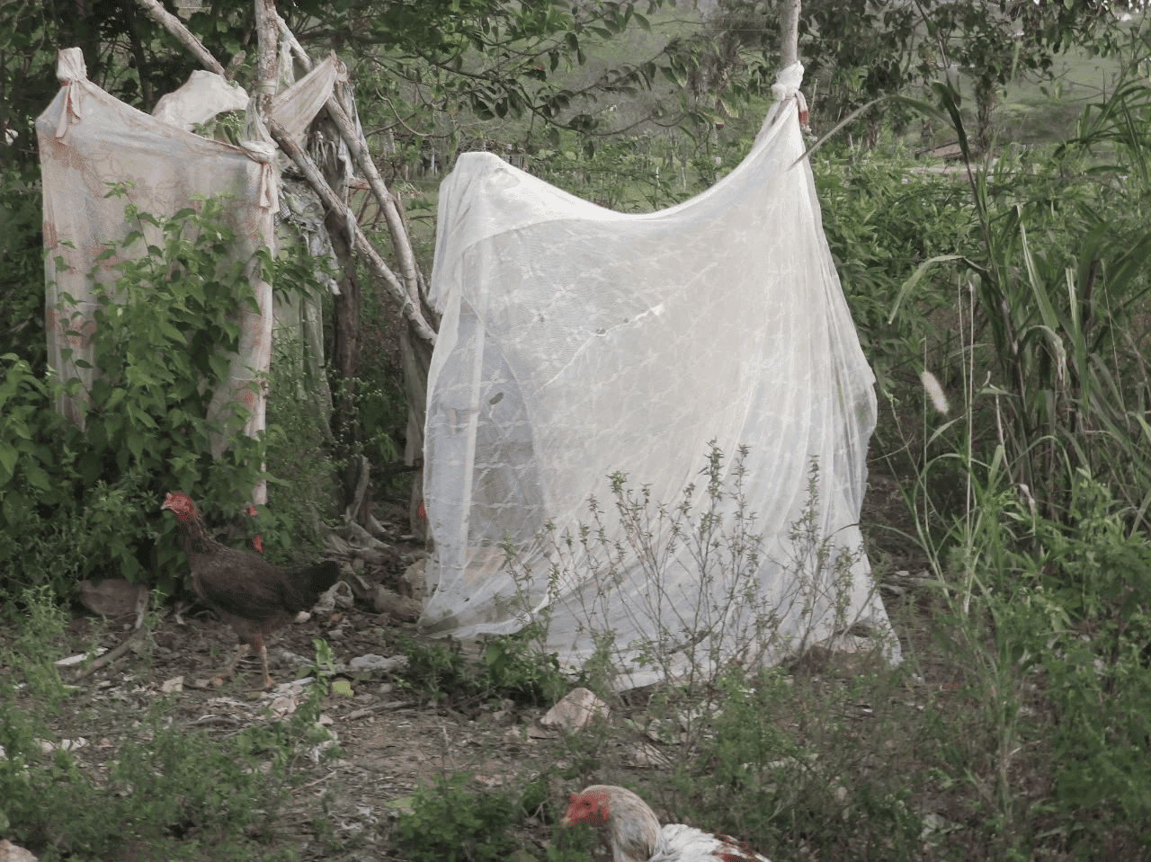 Local improvisado por famílias para realização de necessidades fisiológicas