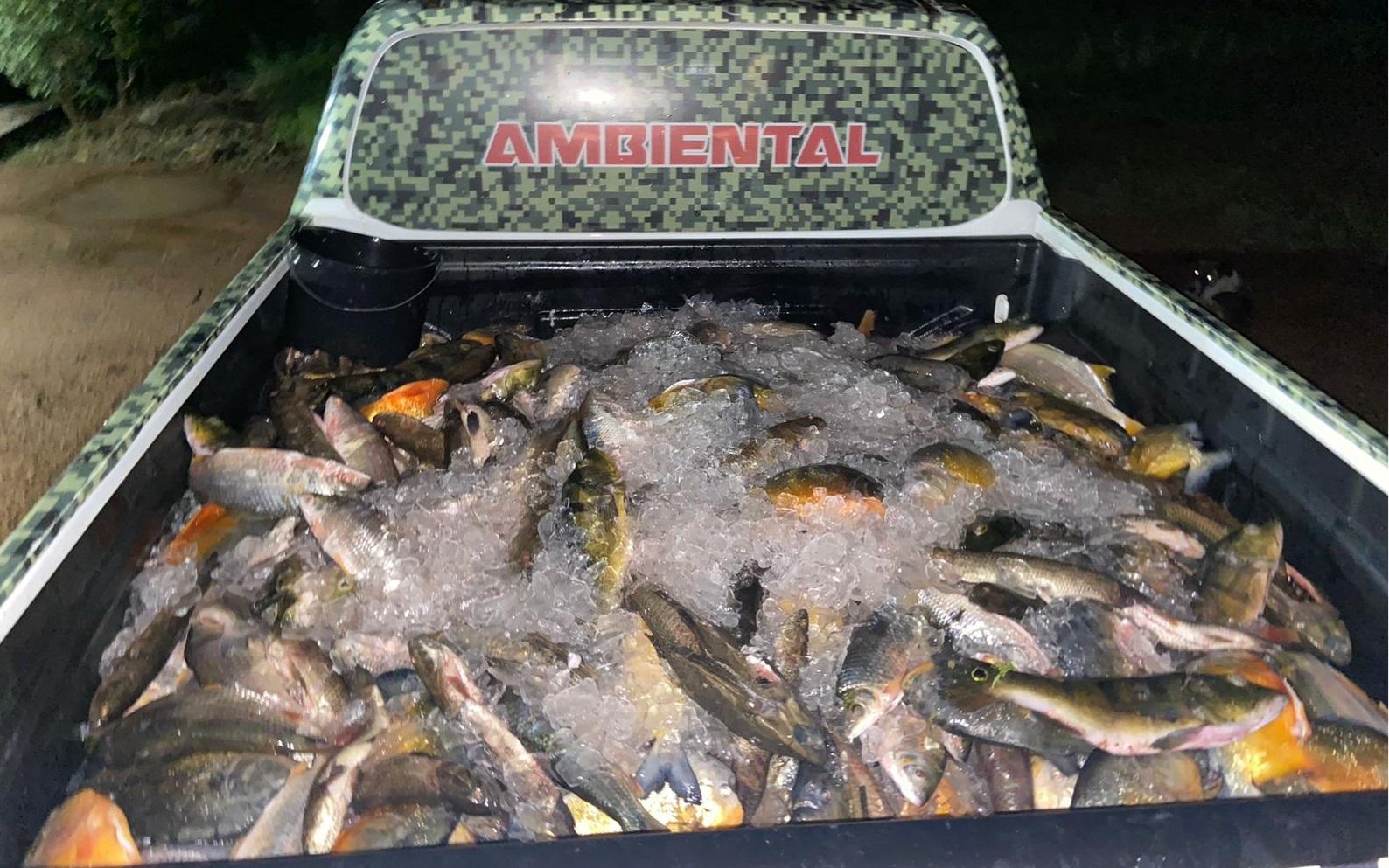 A carga de peixe foi apreendida em Eliseu Martins