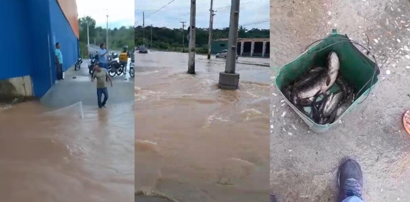 O pescador usou uma rede de pesca para capturar os peixes e conseguiu levar bastante para casa