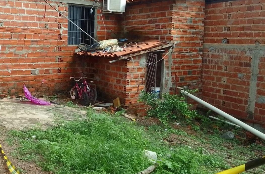 O cachorro foi morto por vizinhos logo após o ataque