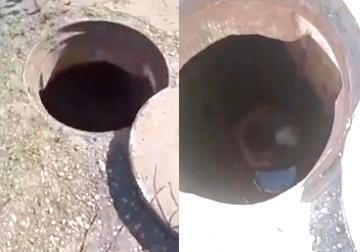 O idoso foi encontrado por um motorista de aplicativo e resgatado pelo Corpo de Bombeiros