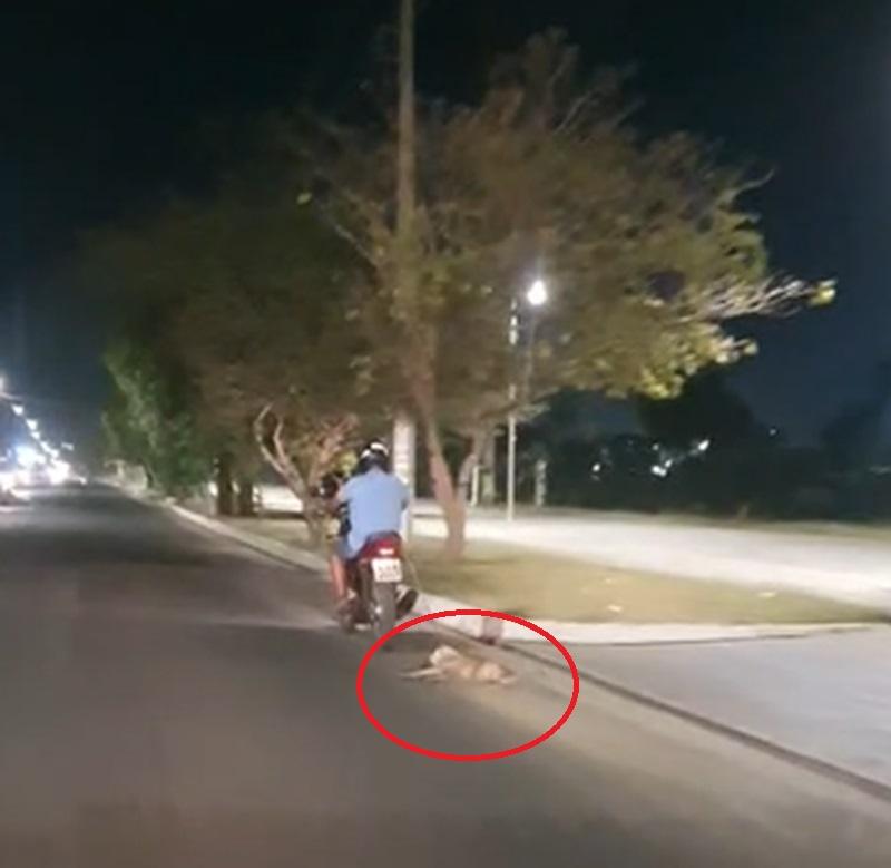O homem perverso amarrou o animal na moto com uma corda e saiu puxando pelas ruas