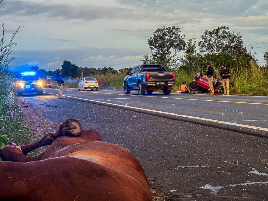 Iniciativa prevê uma ação integrada entre órgãos estaduais, municipais e a Polícia Rodoviária Federal para fiscalização