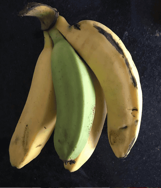 Bananas do mesmo cacho não amadurecem no mesmo tempo