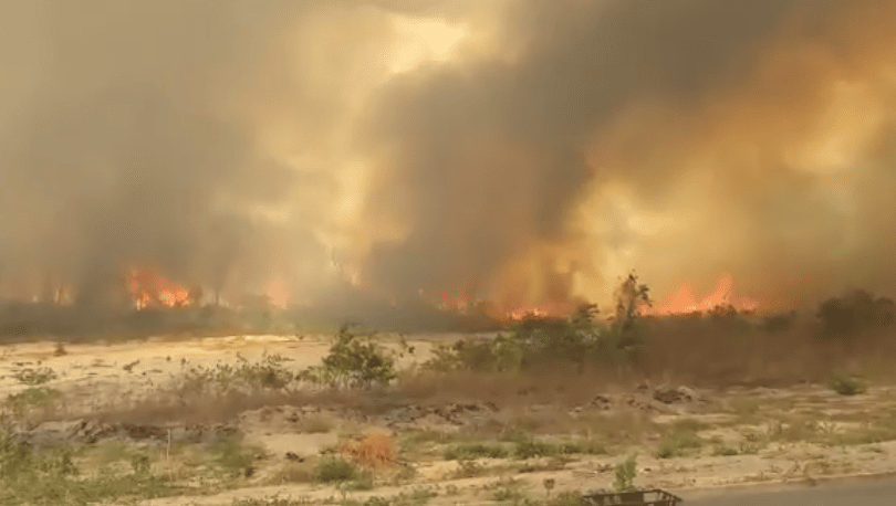 Incêndio de grandes proporções atinge terreno da Chesf