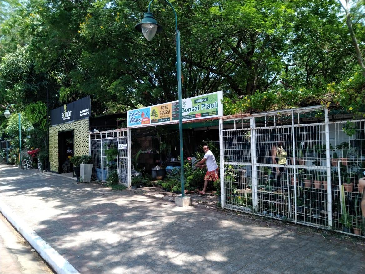 Shopping Natureza