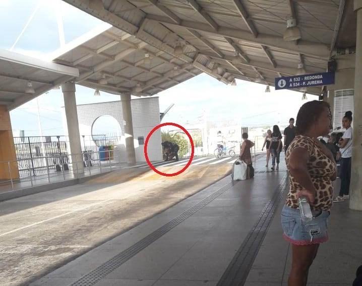 Momento da agressão e constrangimento ao skatista no Terminal Livramento em Teresina