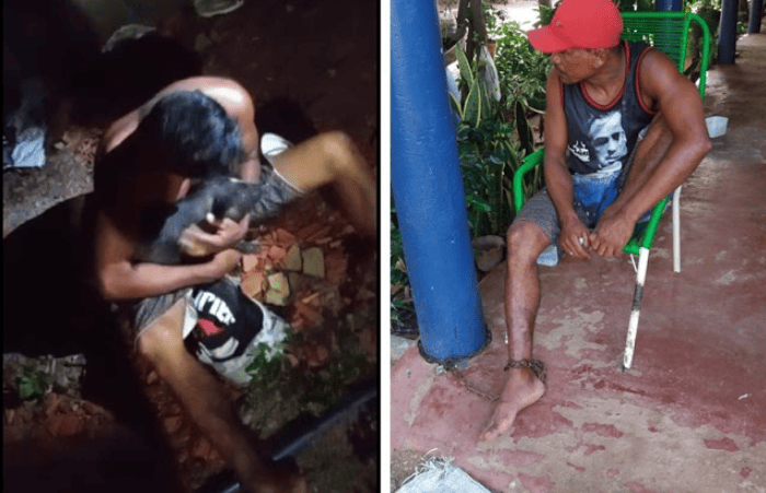 Suspeito de furtar porcos foi acorrentado
