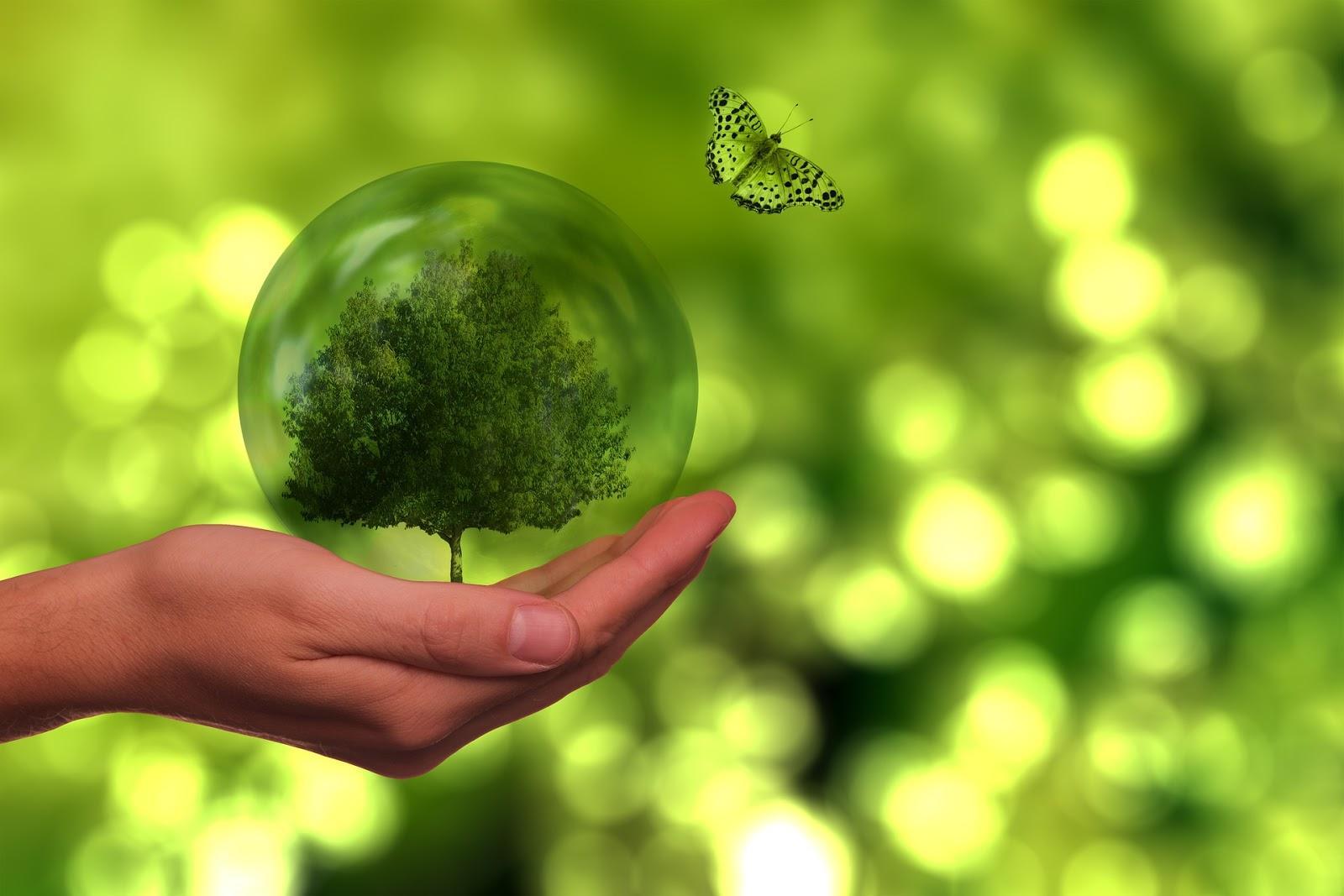 Sustentabilidade