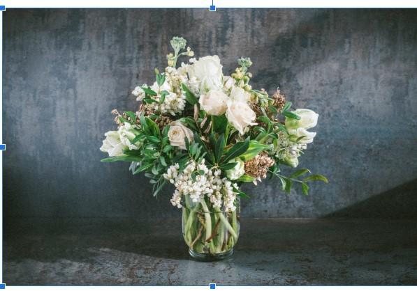 Flores