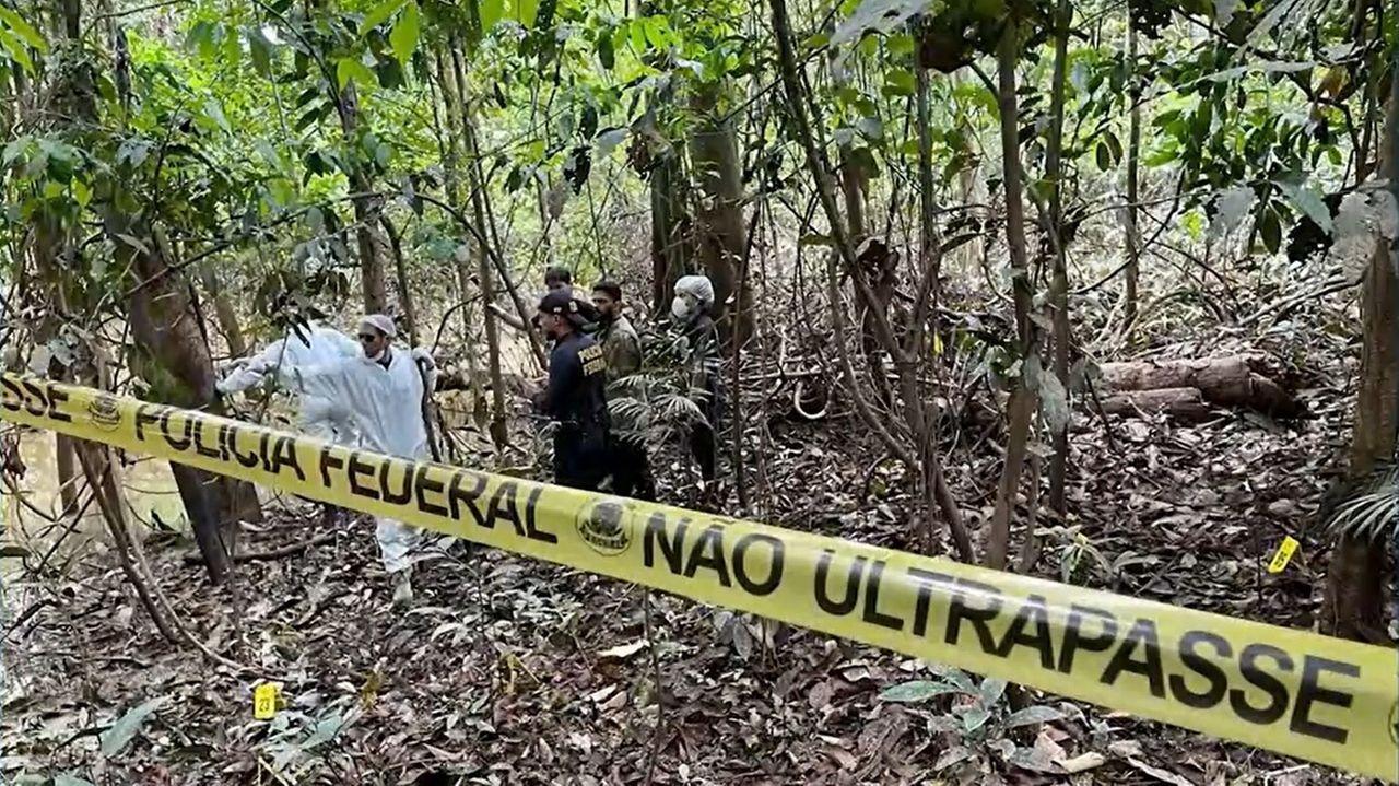 Técnicos e peritos federais em investigações