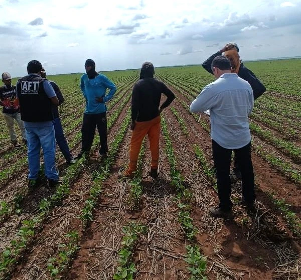 Trabalhadores em situação análoga à de escravidão são resgatados em Palmeira do Piauí