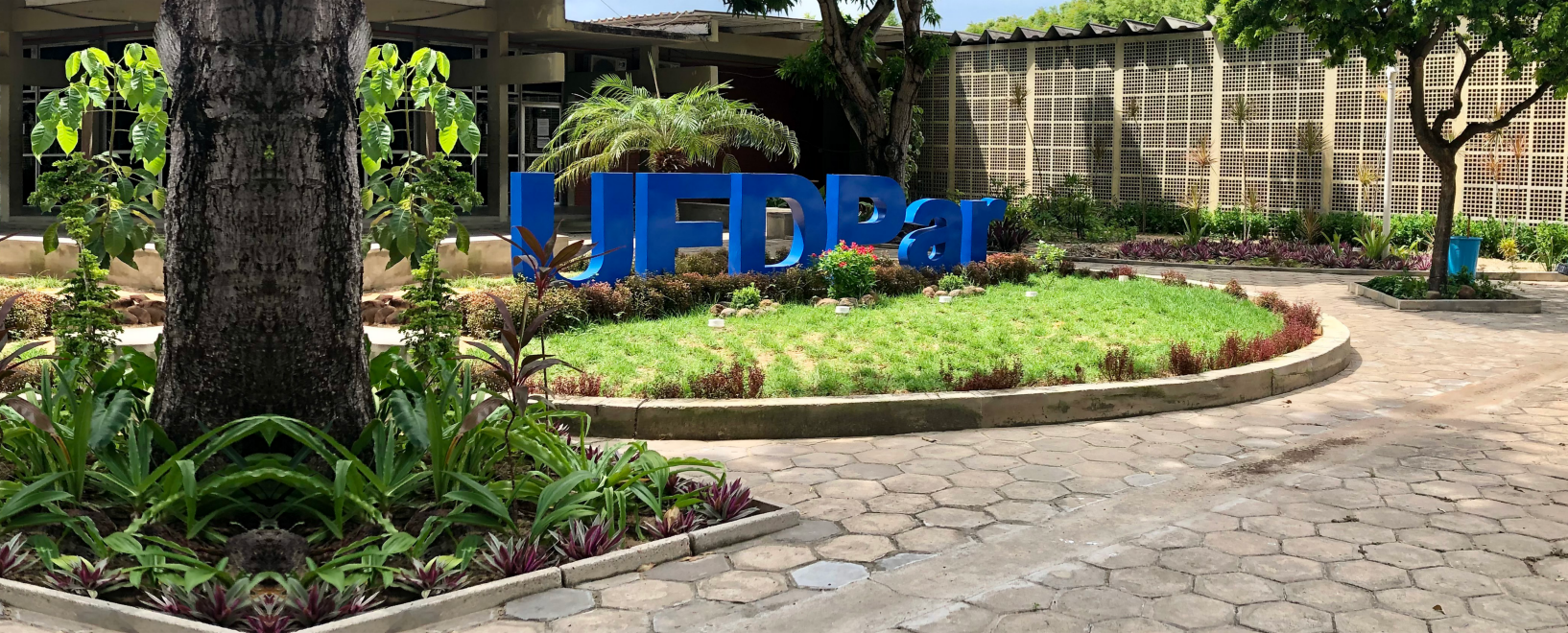 Aluno investigado por expor partes íntimas segue proibido de entrar na UFDPar em Parnaíba