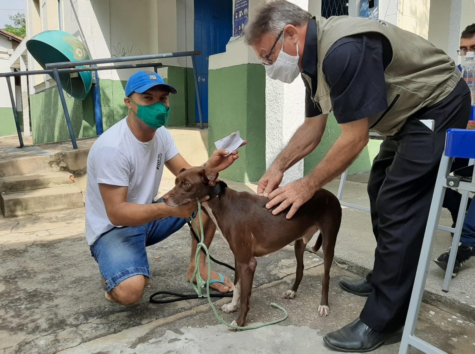Este ano, a imunização de cães e gatos acontece nos meses de abril e maio