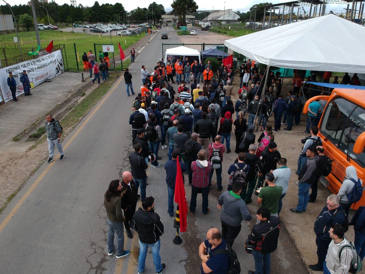 Greve