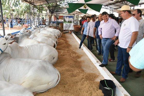 Governador visita Expoagro em Piripiri