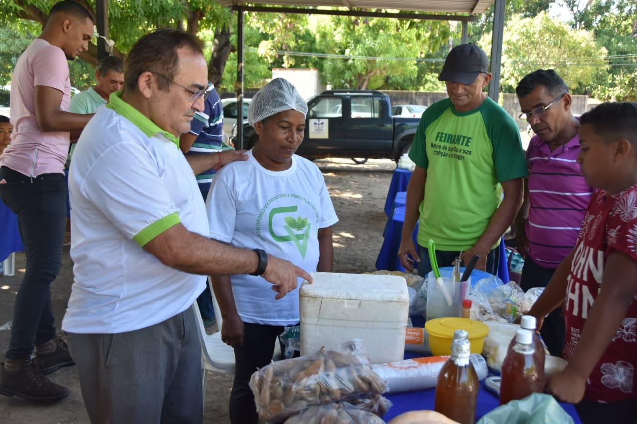 Realizações do Emater beneficiaram diversas famílias piauienses em 2019