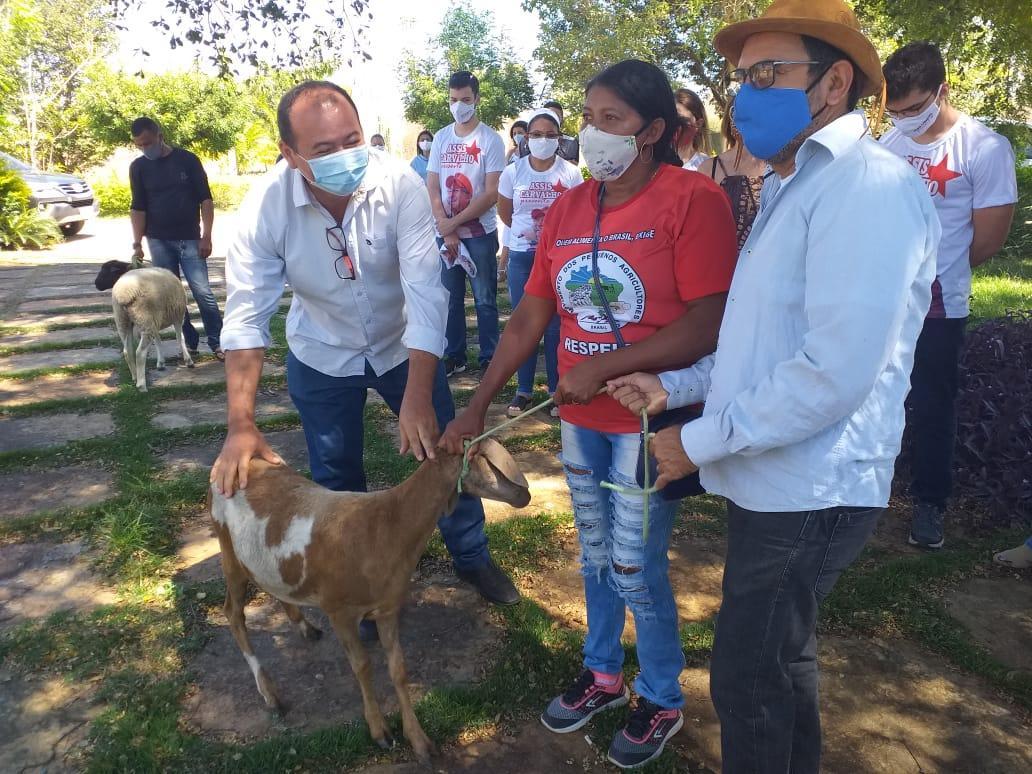 Doação de animais