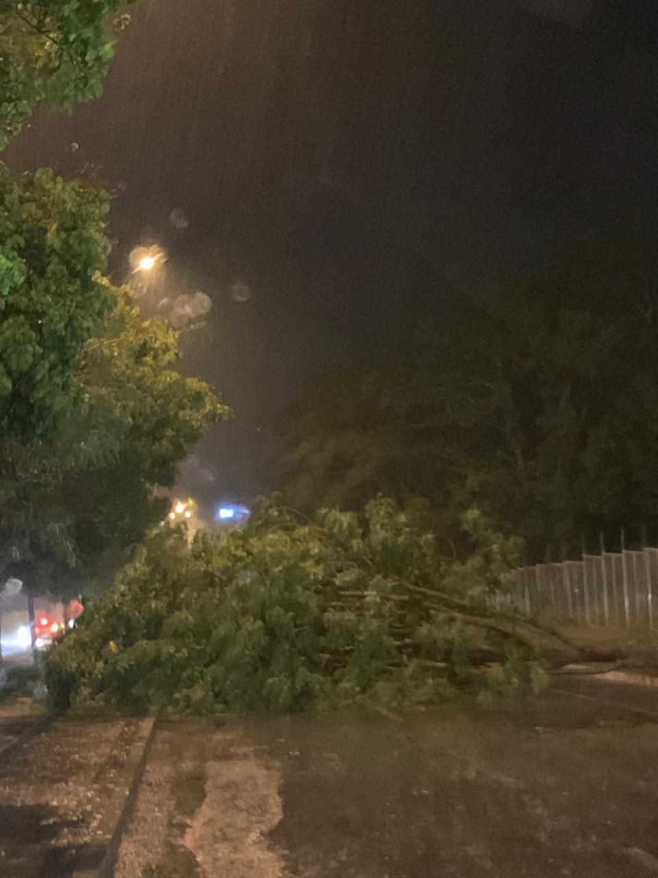 Forte chuva causa estragos em várias zonas da cidade