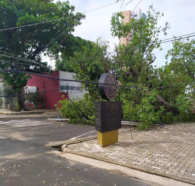 Forte chuva causa estragos na cidade
