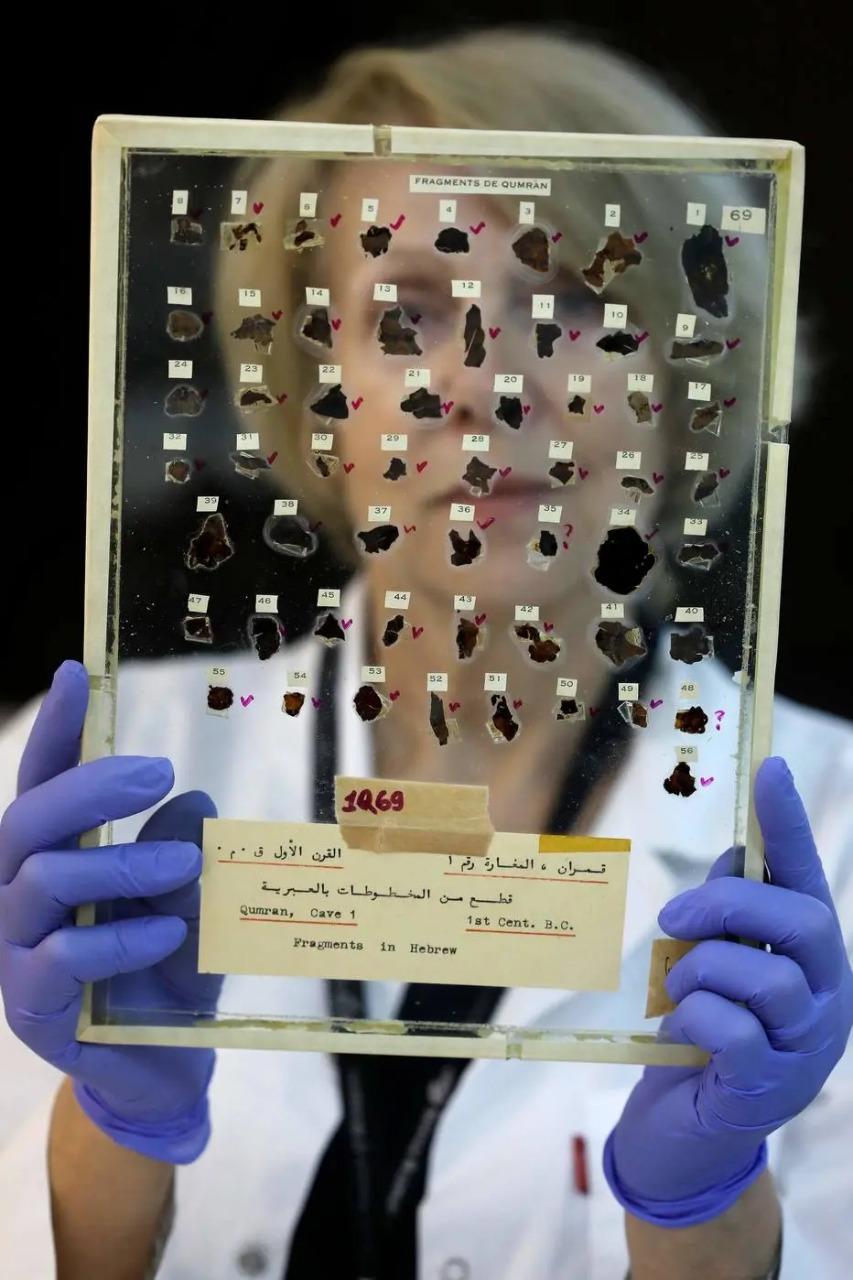 Tatyana Bitler, curadora da Autoridade de Antiguidades de Israel, mostra fragmentos de pergaminhos do Mar Morto em um laboratório em Jerusalém, em 2 de junho de 2020