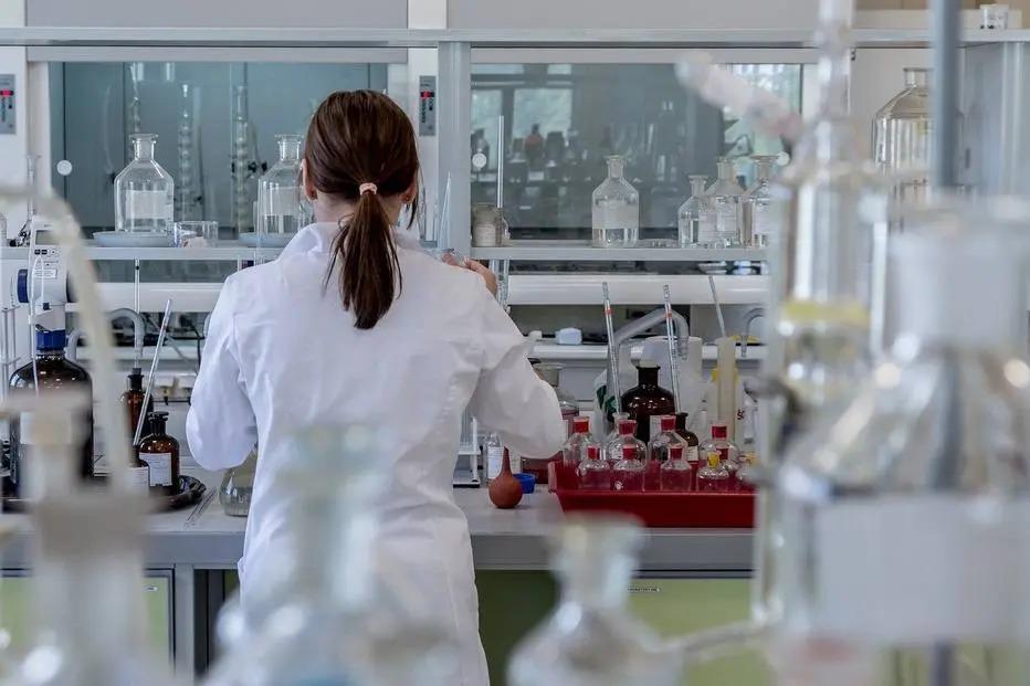 Descoberta ajudará no tratamento do câncer
