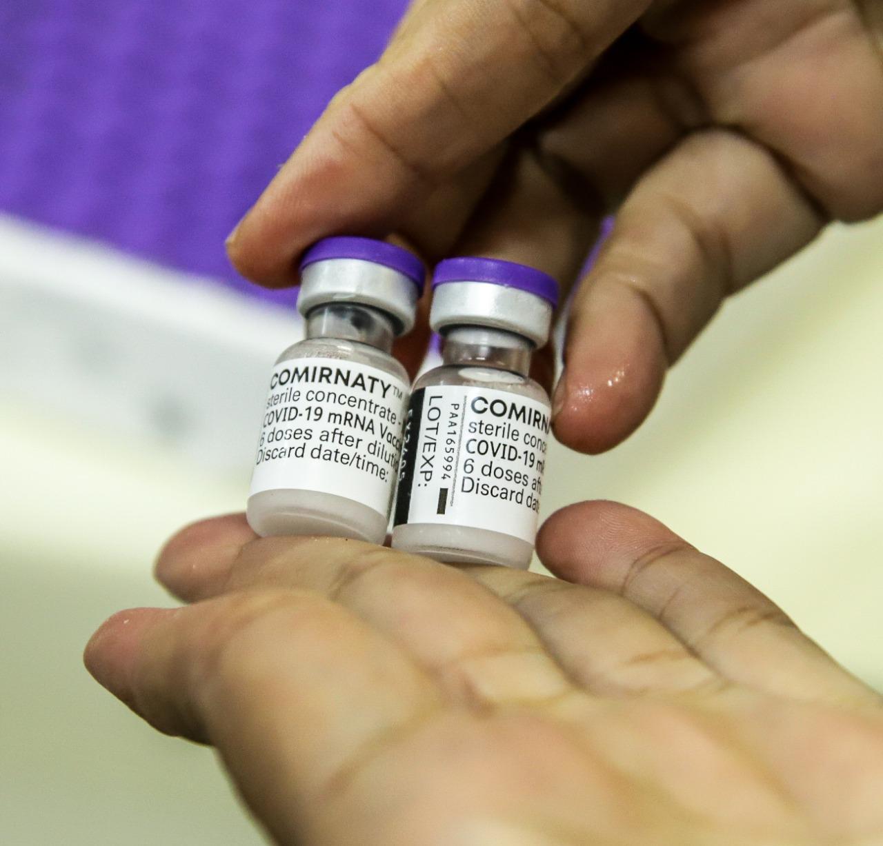 Distribuição da vacina Pfizer para municípios