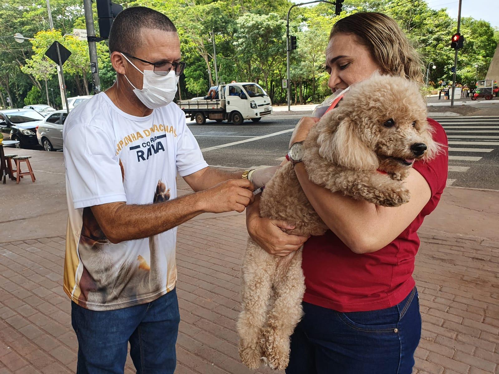 Vacinação contra raiva