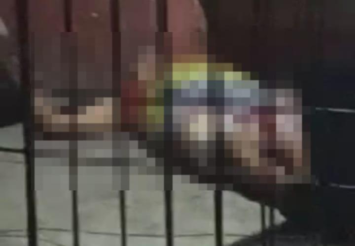 Corpo foi removido pelo IML após a perícia