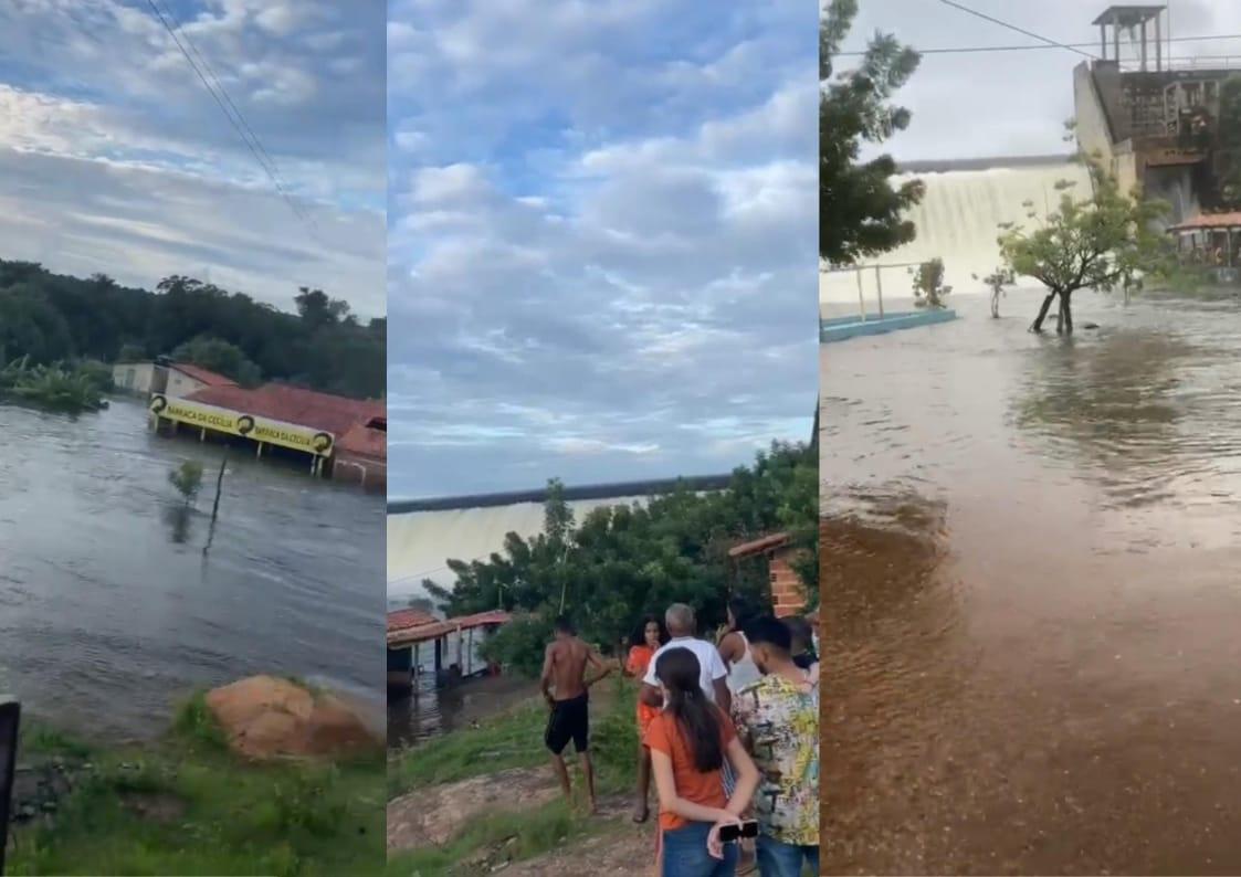 Reprodução