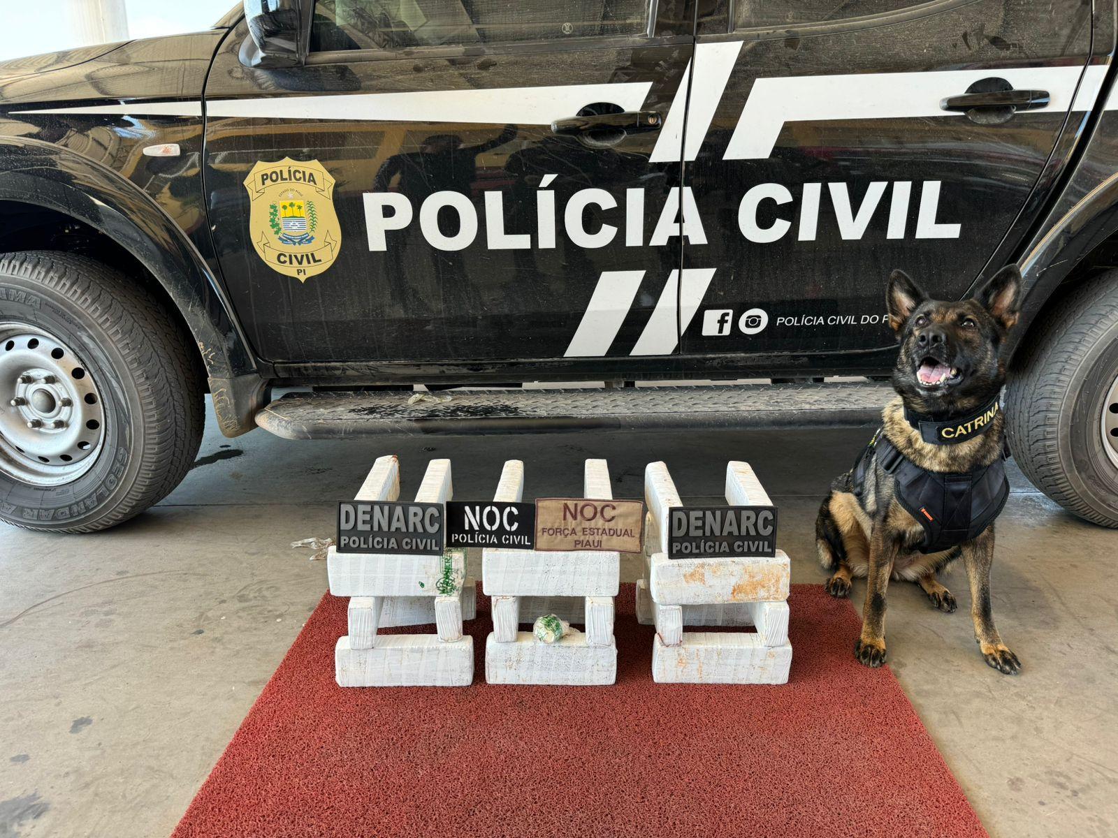 Os tabletes estavam em uma mochila levada por Toniel
