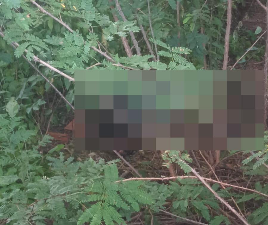 A Polícia Civil investiga assassinato de homem encontrado em matagal