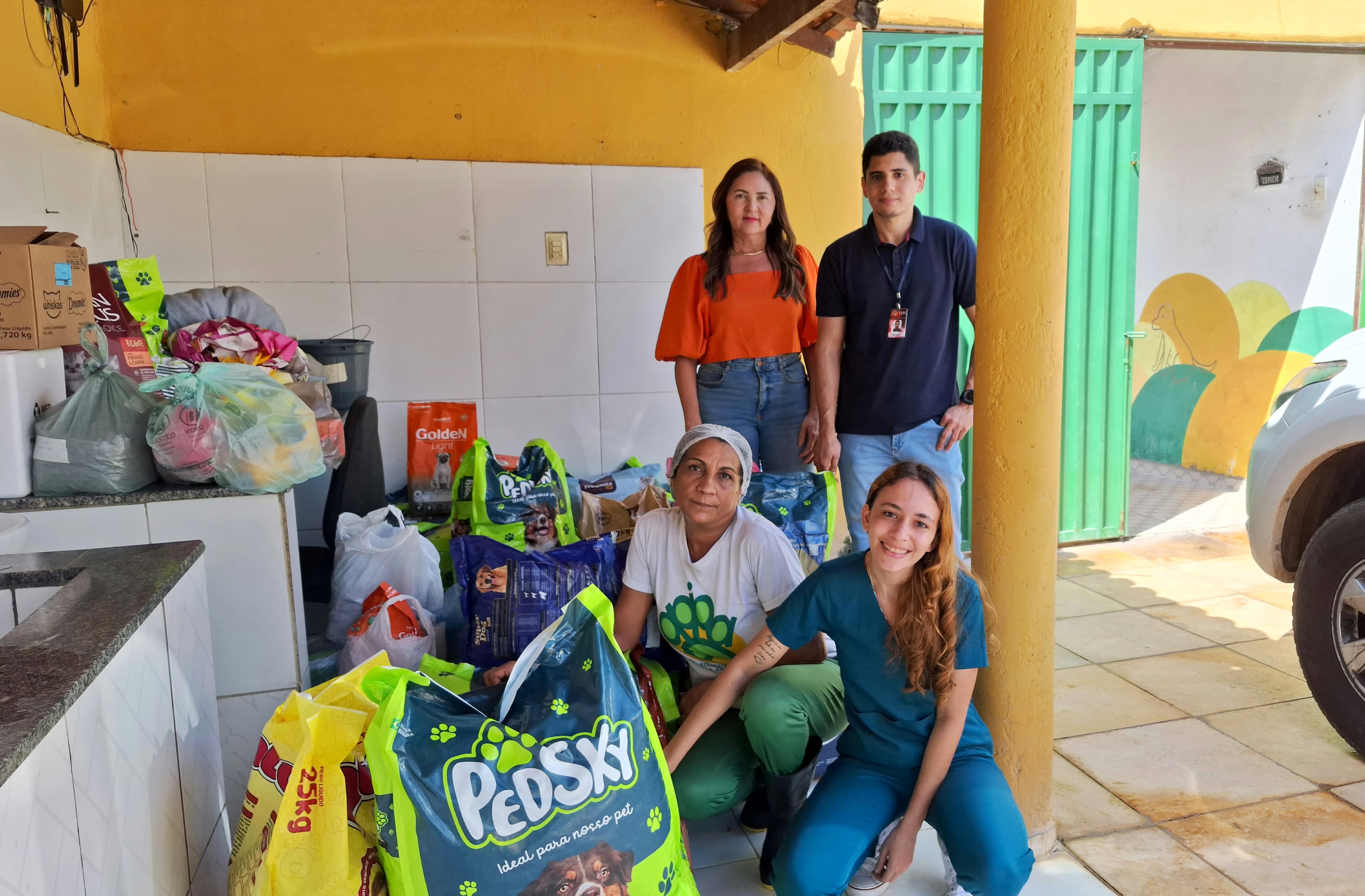 Arrecadação de rações para cães e gatos para ONG