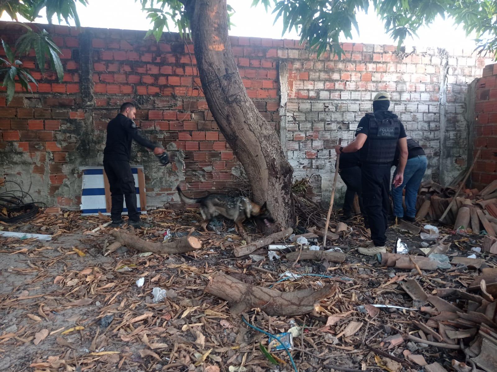 Mandados estão sendo cumpridos em todo o estado do Piauí