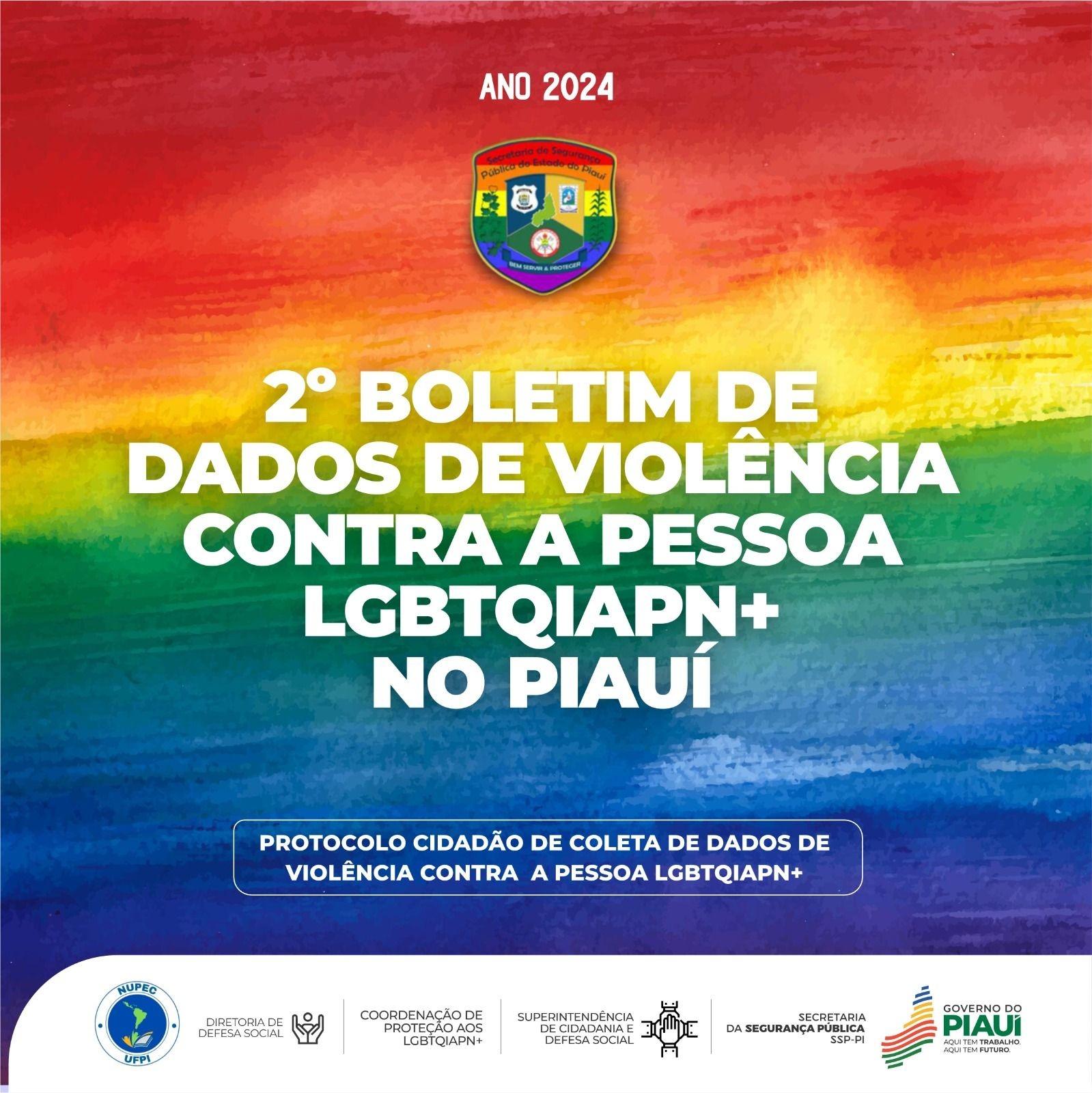Boletim de dados de violência contra a pessoa LGBTQIAPN+ no Piauí