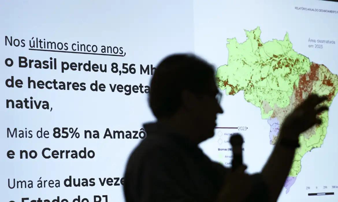 Brasil já perdeu 33% das áreas naturais do seu território