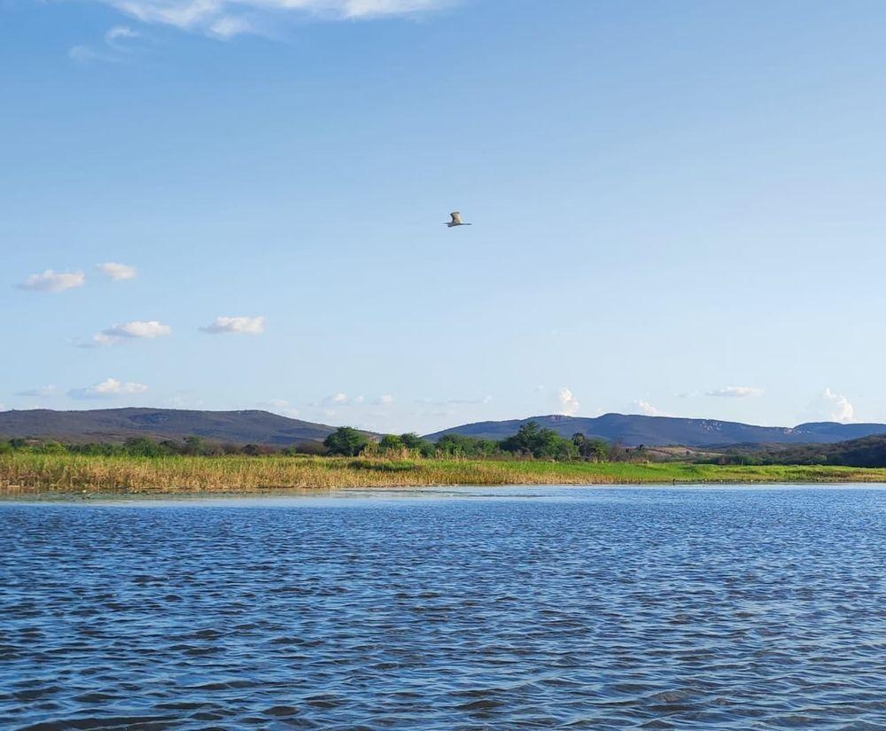 Área de proteção ambiental em Paulistana