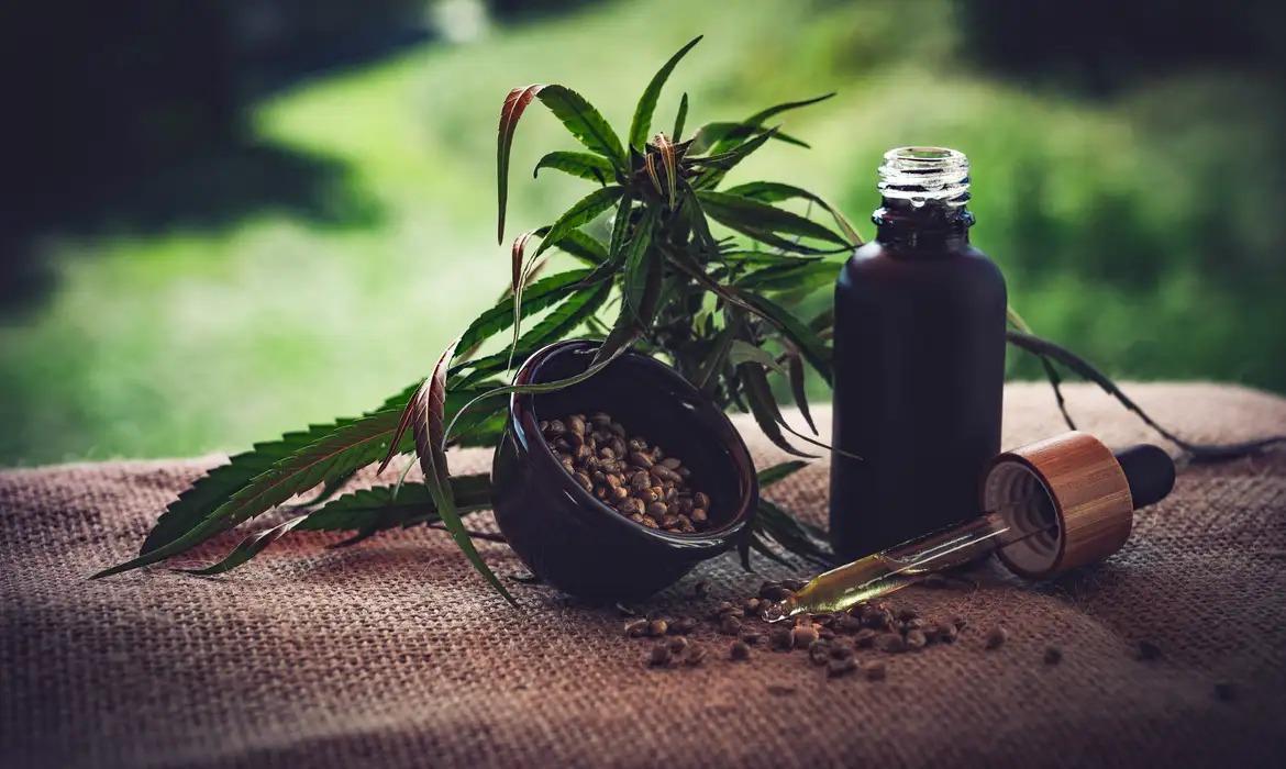 Cannabis medicinal