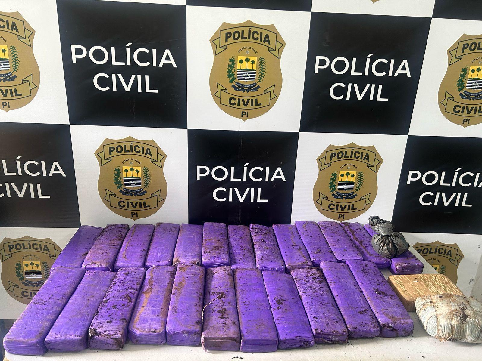 Drogas apreendidas na operação